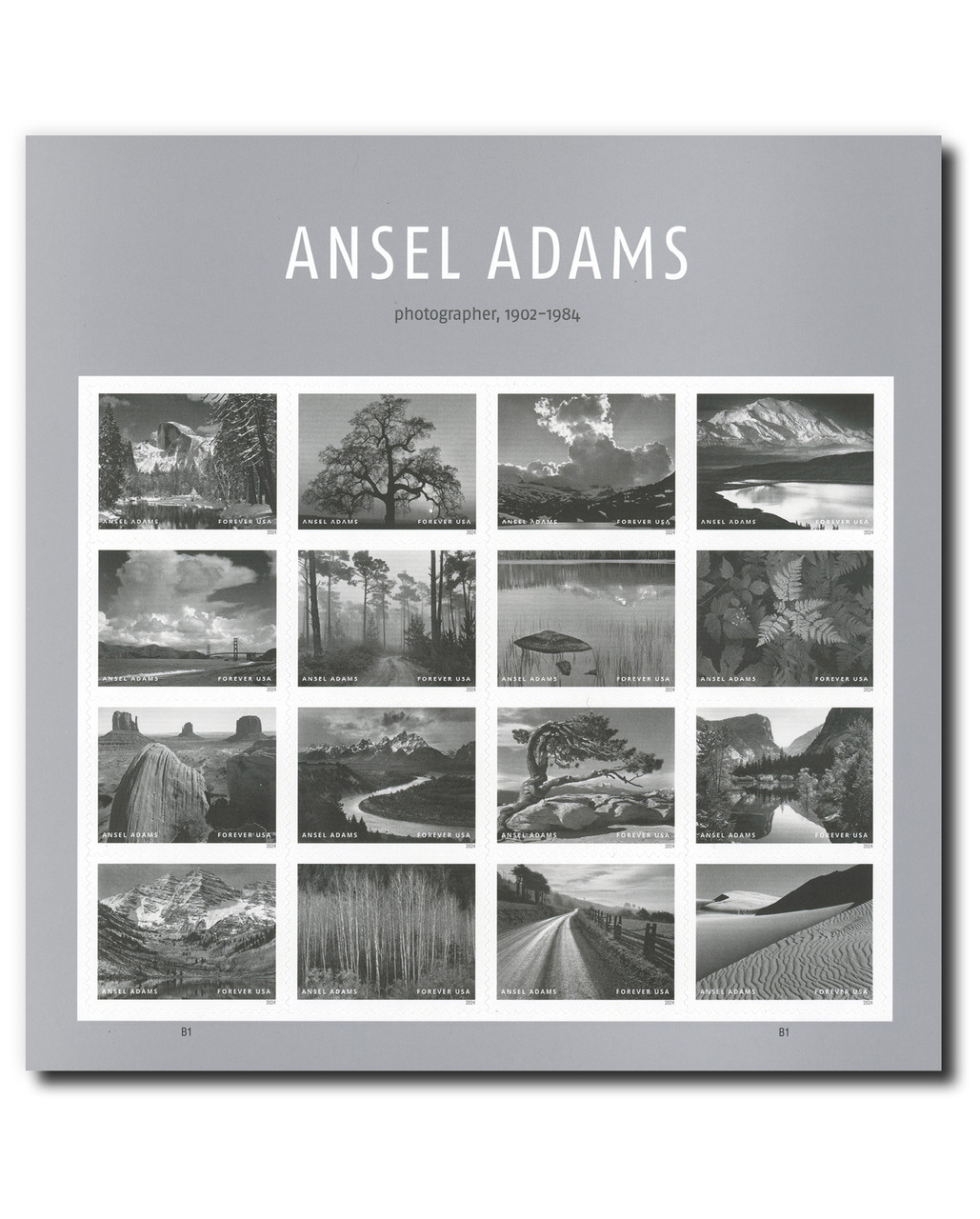 5854 - 2024 First-Class Forever Stamps - Photographs by Ansel Adams