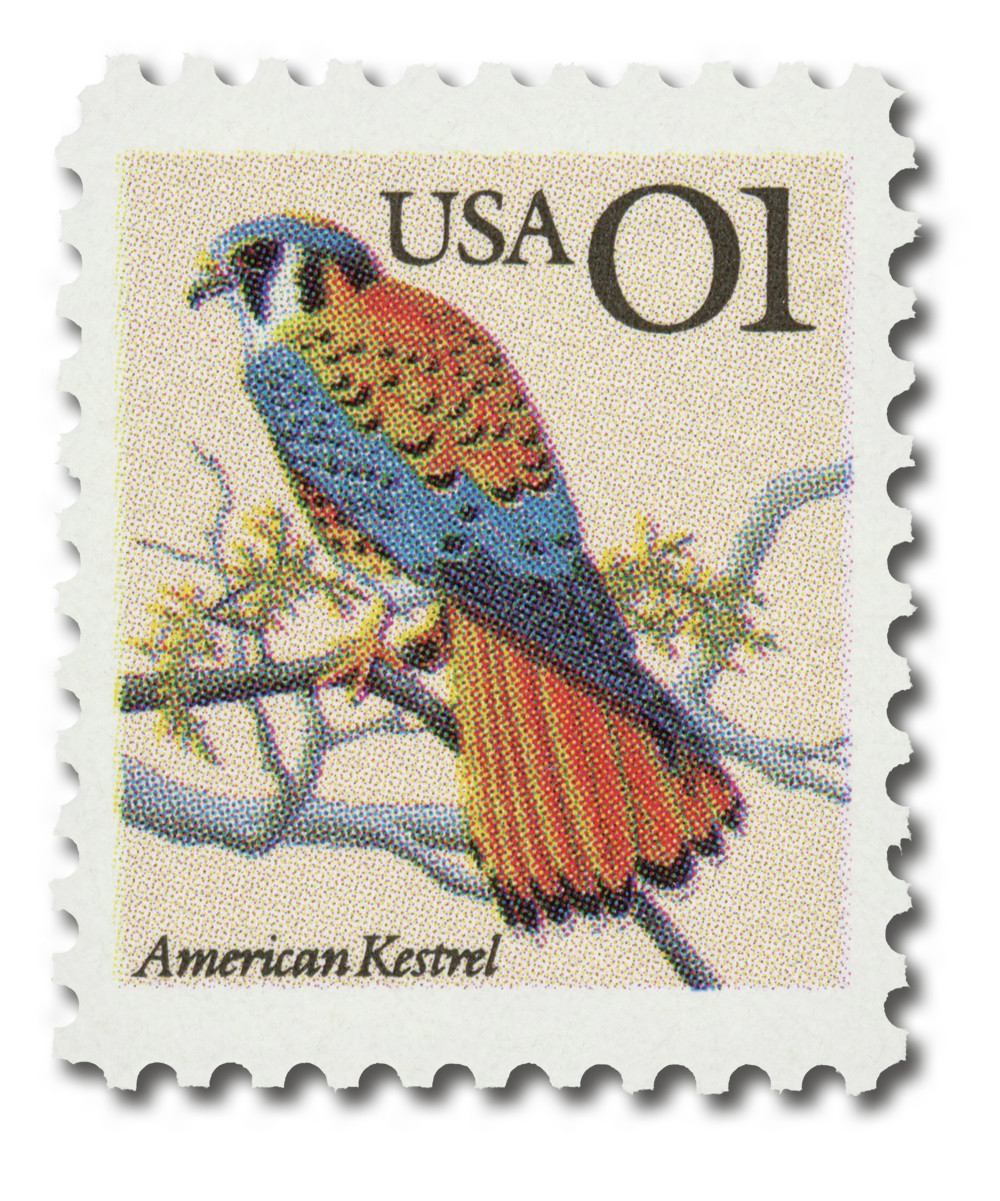 2476 - 1991 1c Flora & Fauna Series: American Kestrel