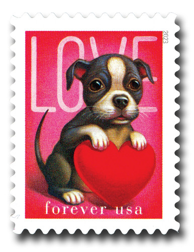 USA-5746__75387.1738096808.386