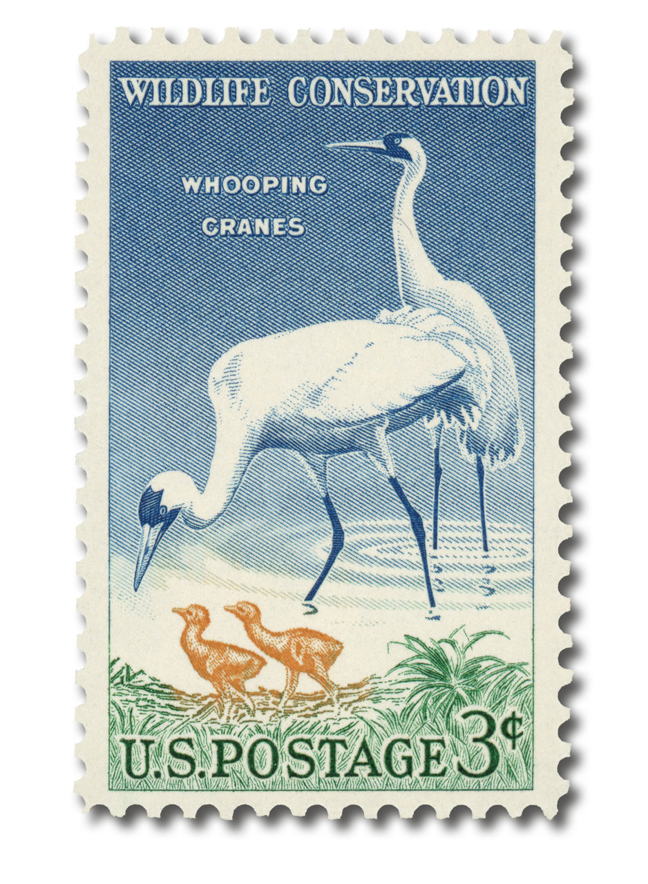 1098 - 1957 3c Whooping Cranes