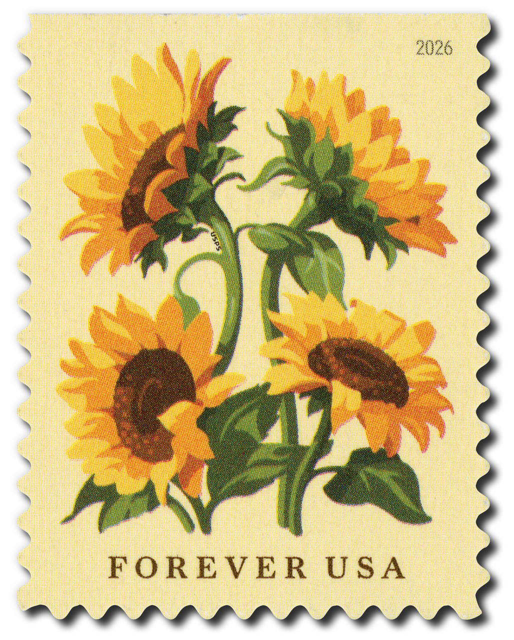 6067 - 2026 First-Class Forever Stamp - Sunflowers