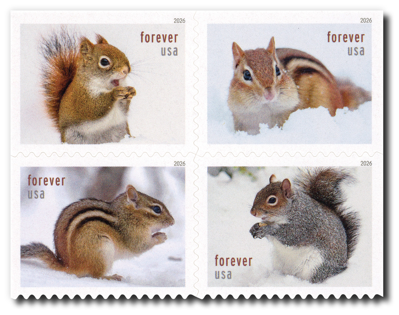 NW2642 - 2026 First-Class Forever Stamps - Squirrels & Chipmunks in Snow