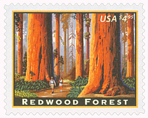 4378 - 2009 $4.95 Redwood Forest, Priority Mail