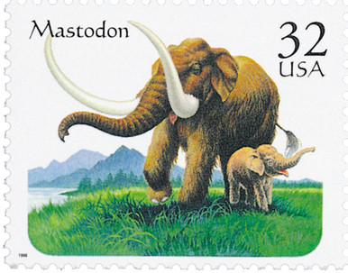  mastodonやま！ USA-3079__43726.1738162195.386