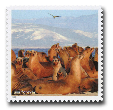 USA-5713m__63329.1738099726.