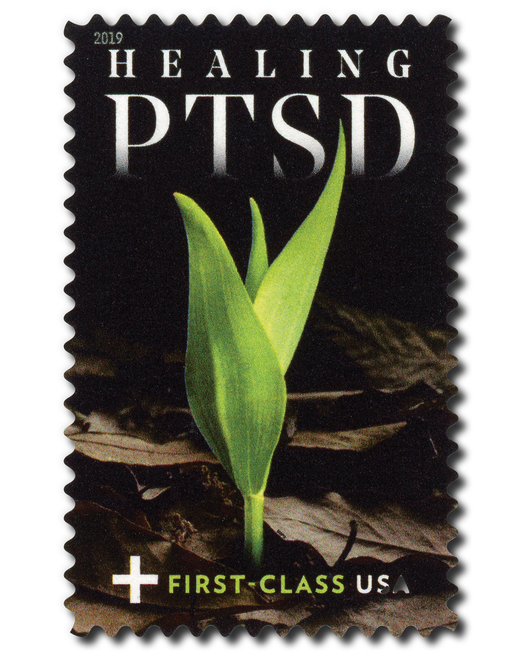 B7 - 2019 Non-Denominated, 55c & 10c Surtax, Semipostal - Healing PTSD