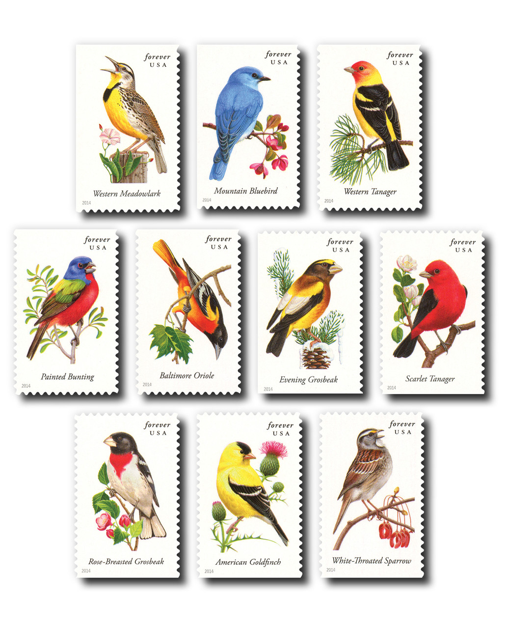 Discover the Beauty of Bird Stamps and the Legacy of John James