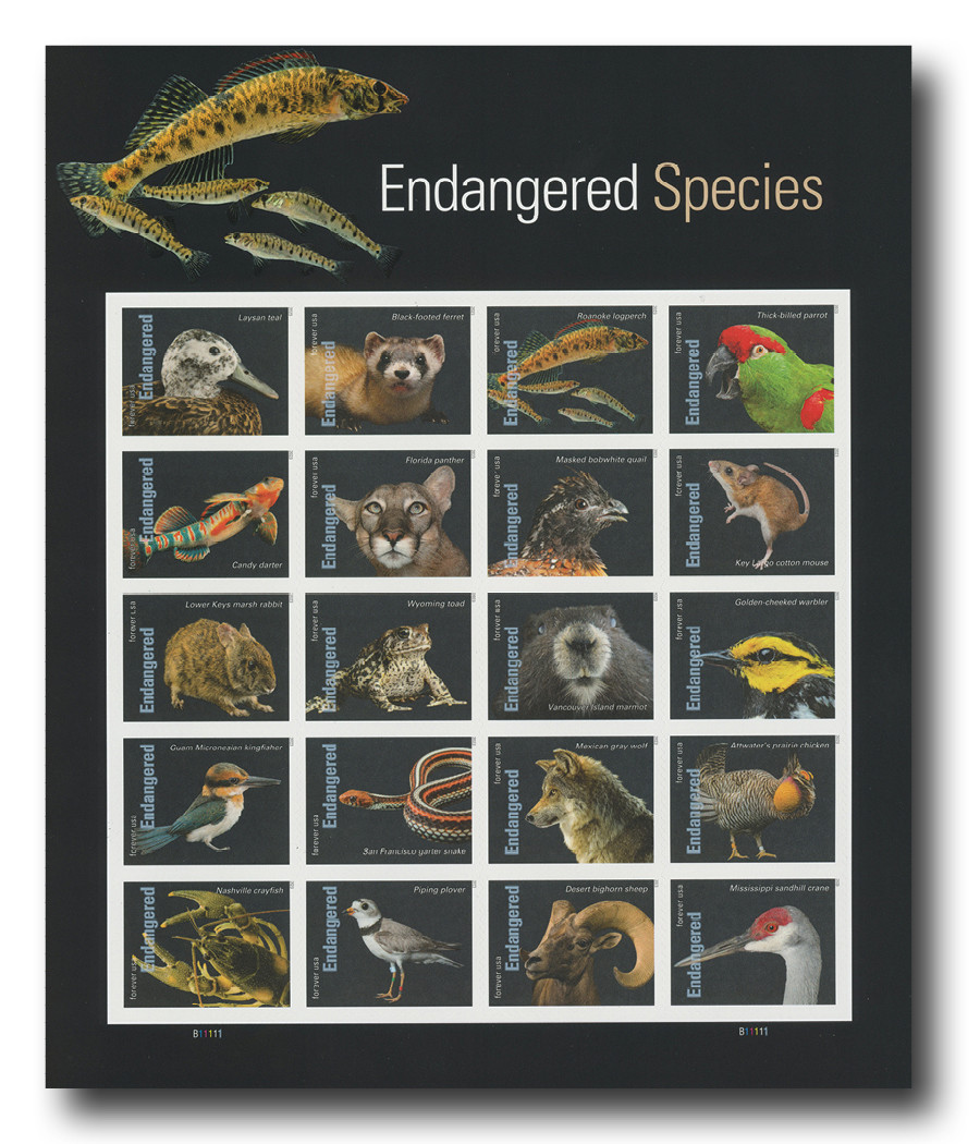 5799 - 2023 First-Class Forever Stamps - Endangered Species