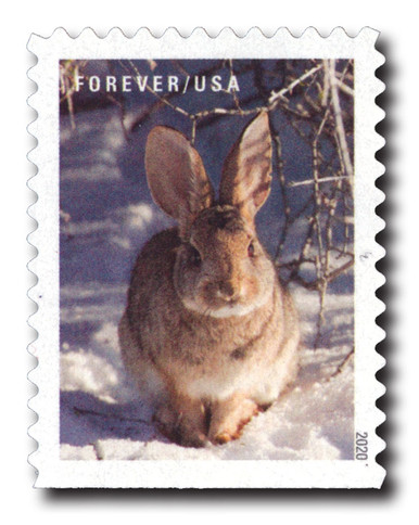 5539 - 2020 First-Class Forever Stamps - Winter Scenes: Rabbit - Mystic ...