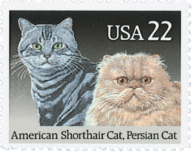 from cat st　10冊 USA-2375__07577.1738166531.386