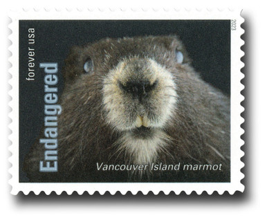 NEIGHBORHOOD ×Marmot USA-5799k__87626.1738095655.