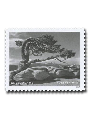 USA-5854k__01191.1738089866.