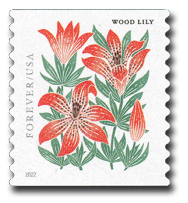 5672 - 2022 First-Class Forever Stamp - Mountain Flora (coil
