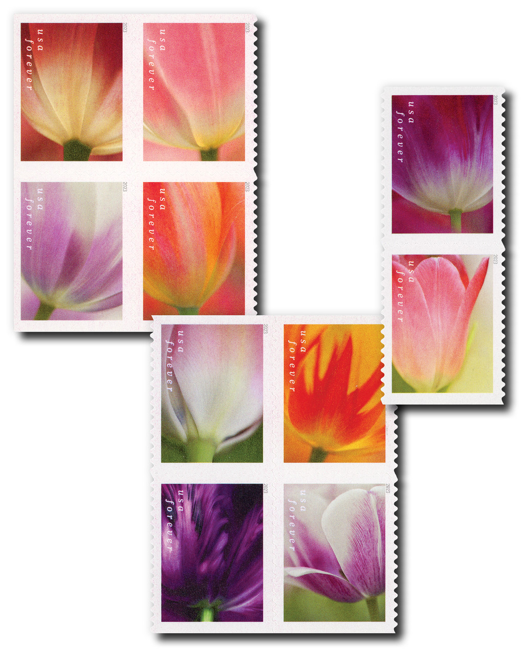 5777-86 - 2023 First-Class Forever Stamps - Tulip Blossoms (booklet stamps)