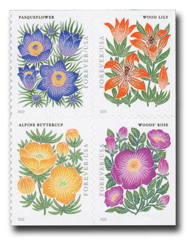【関税込み】AFTER PRAY ネイビー Flora Stamp フーディ 5676-79 - 2022 First-Class Forever Stamps - Mountain Flora