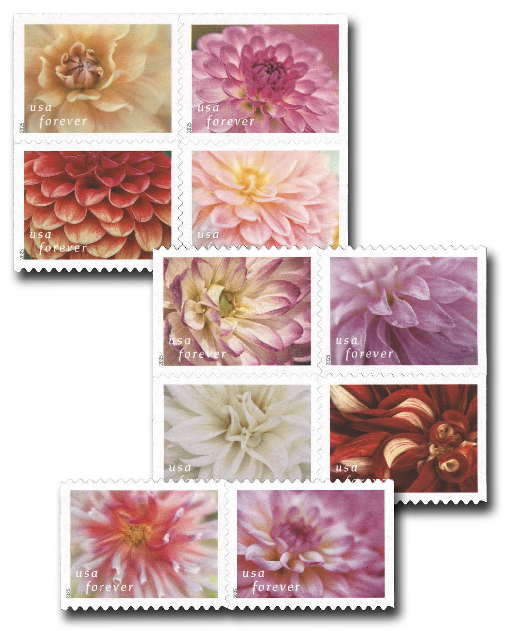 5992-6001 - 2025 First-Class Forever Stamps - Dahlias