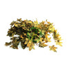  Unique Leaves Double Crafting Leaves | Pack of 50 