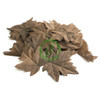  Unique Leaves Single Maple Crafting Leaves | Pack of 50 