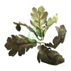  Unique Leaves Trippel Oak Crafting Leaves Pack of 50 