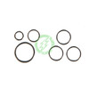 Wolverine Airsoft MTW Wolverine Airsoft | O-Ring Replacement Kit for XTS Units (Does not include o-rings for solenoid valve) 