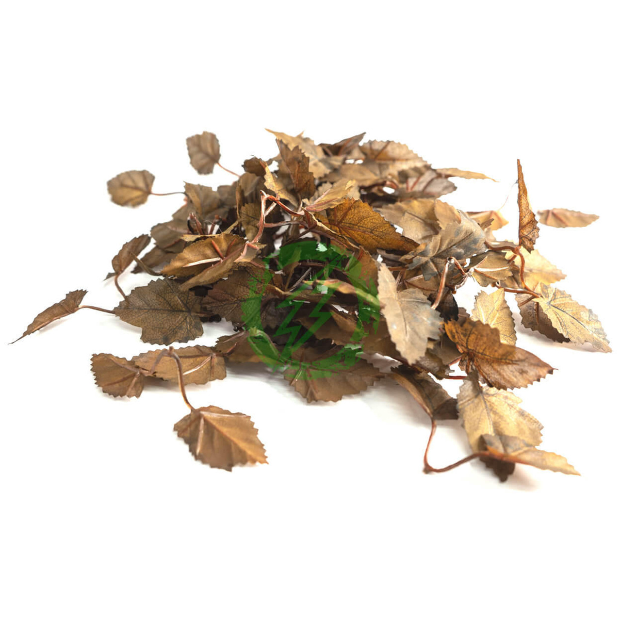  Unique Leaves Nettle Crafting Leaves | Pack of 50 