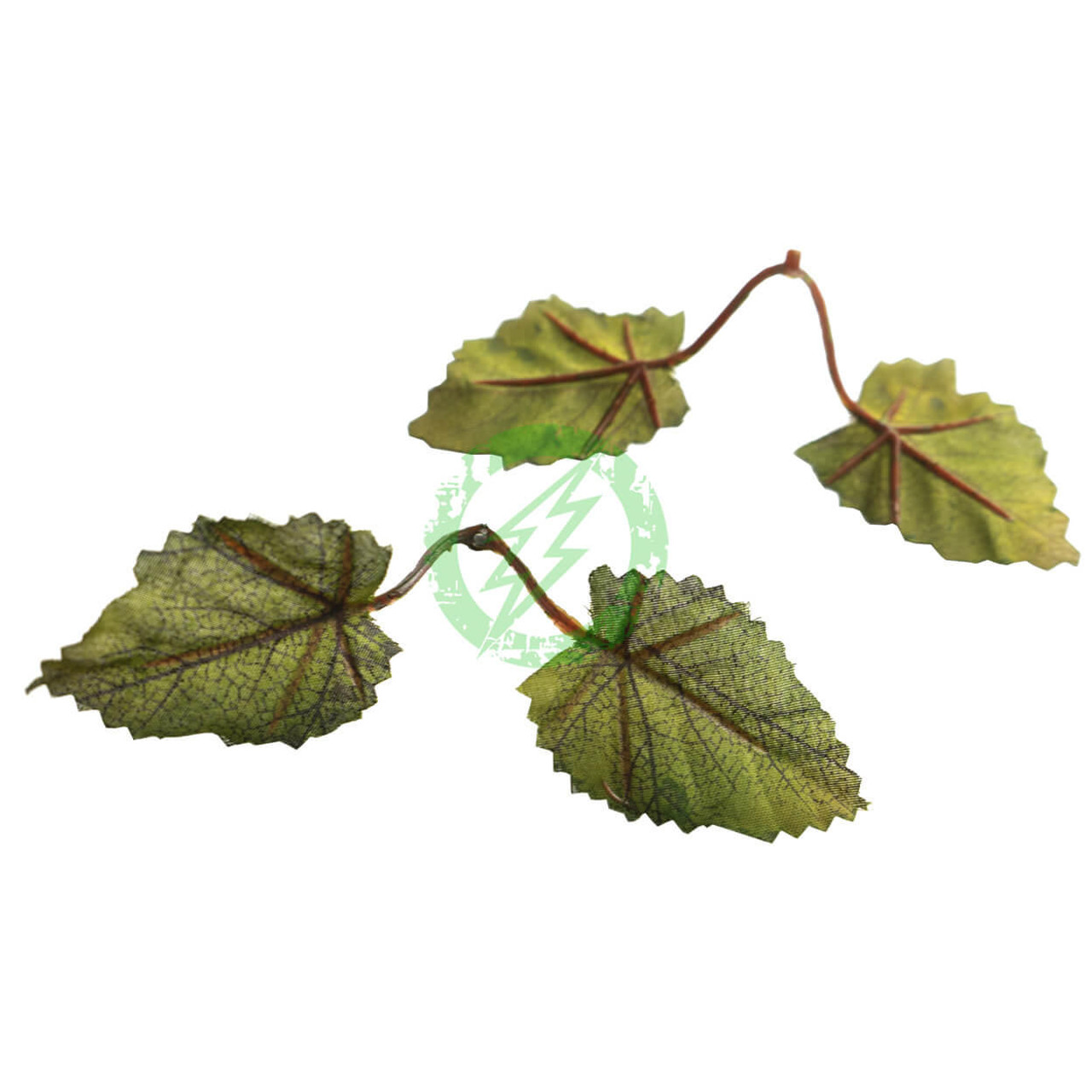  Unique Leaves Nettle Crafting Leaves | Pack of 50 