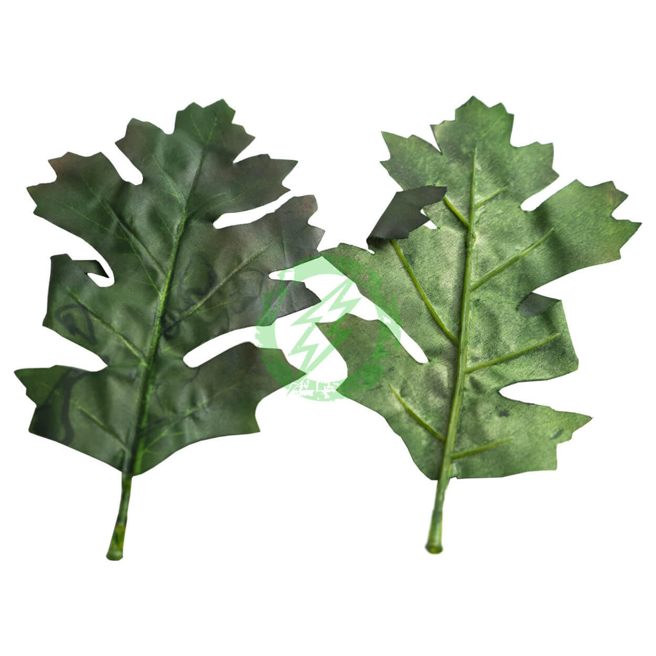  Unique Leaves Oak Crafting Leaves | Pack of 50 