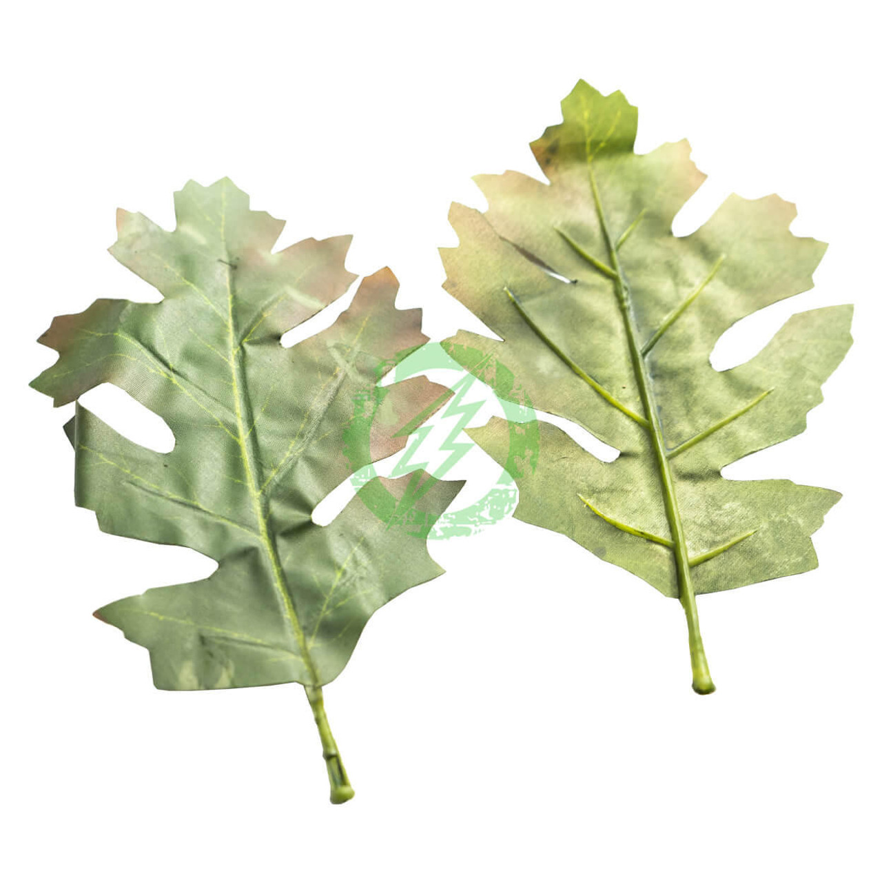  Unique Leaves Oak Crafting Leaves | Pack of 50 