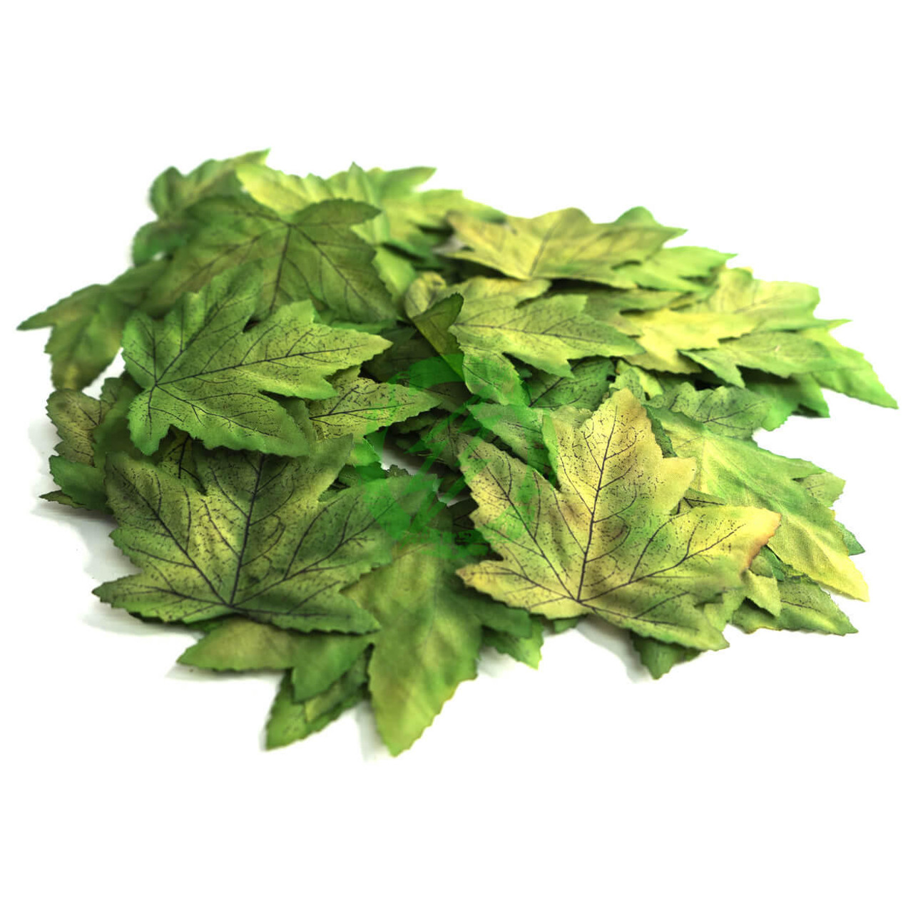  Unique Leaves Single Maple Crafting Leaves | Pack of 50 