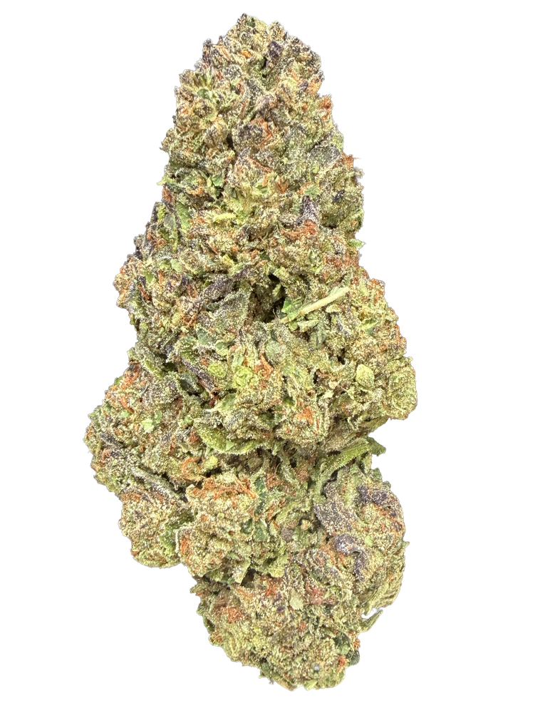 Gelato 41