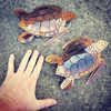 Mini Sea turtle 