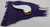 Minnesota Vikings