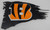 Cincinnati Bengals