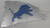 Detroit Lions