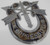 Special Forces Crest
