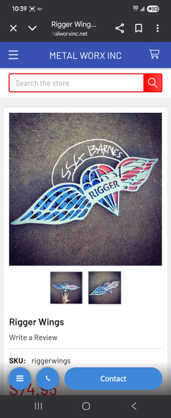 Jaqueline Sumagang 24" Rigger Wings with Custom Design added at Top.