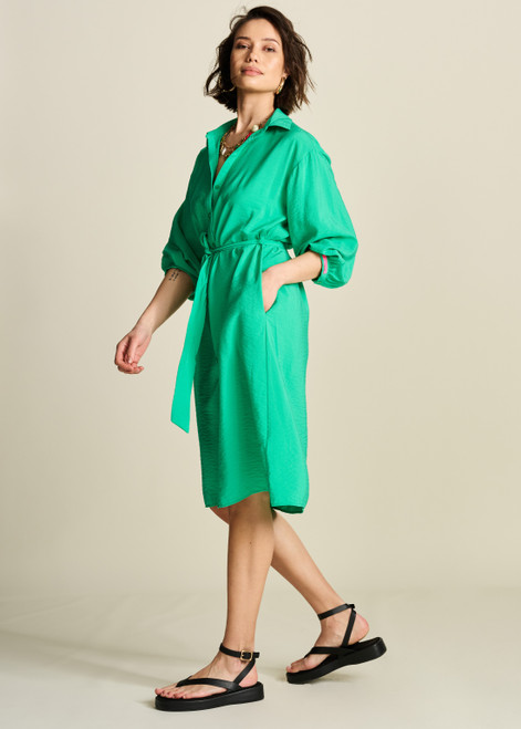 POM Lush Green Dress | SP7811