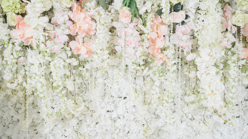 Enchanting Backdrops and Arches: Elevating Wedding Elegance