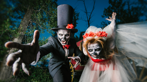 ​How to Plan the Perfect Halloween Wedding: Spooky, Stylish, and Unforgettable