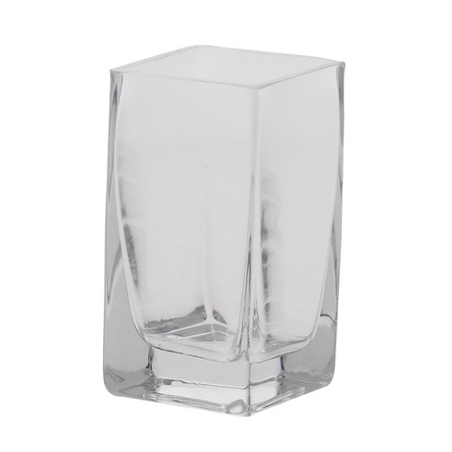 10cm Glass Tank Vase 10cm Glass Tank Vase