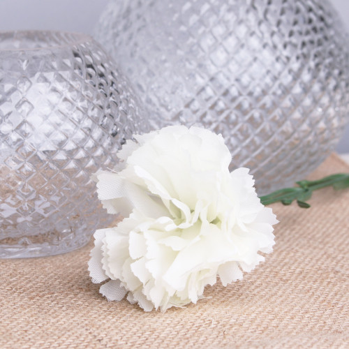 Ivory Carnations (12 Stems) Ivory Carnations (12 Stems)