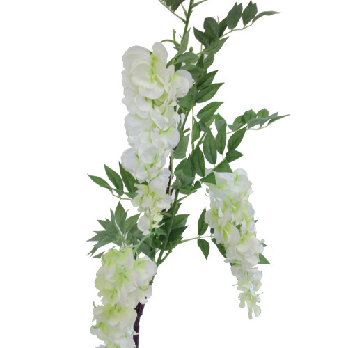 White Wisteria Branch White Wisteria Branch