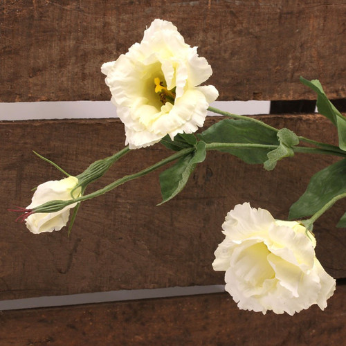 Lisianthus Spray Cream (82cm) Lisianthus Spray Cream (82cm)