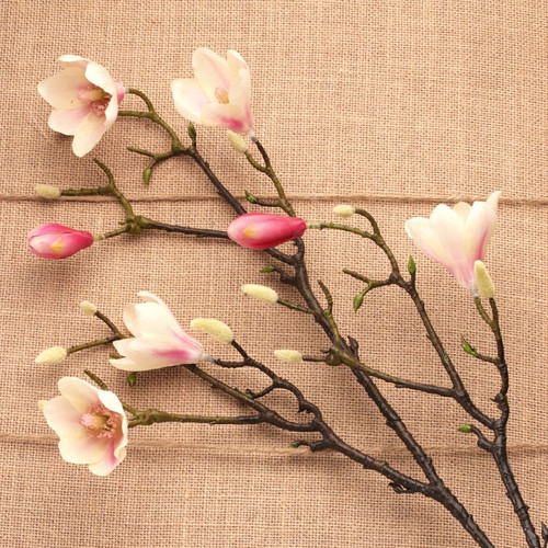 Magnolia Branch Cream with Pink Detail