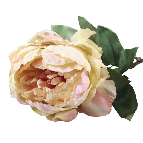 71cm Single Peony Cream Blush