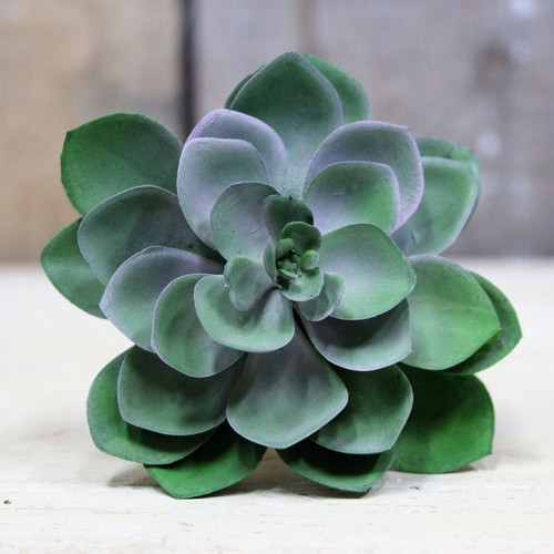 11cm Succulent Pick 