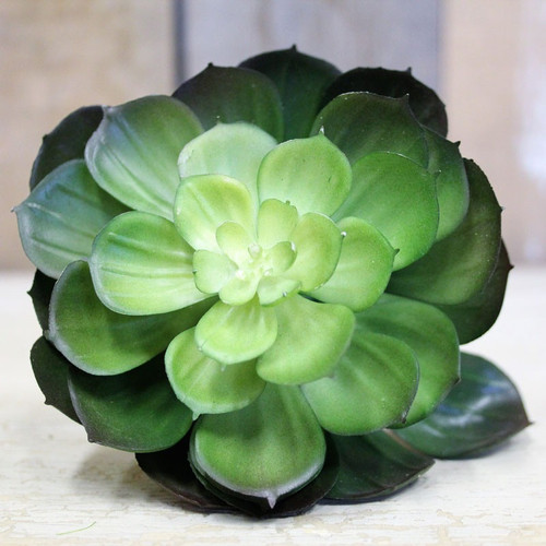 15cm Succulent Pick 15cm Succulent Pick