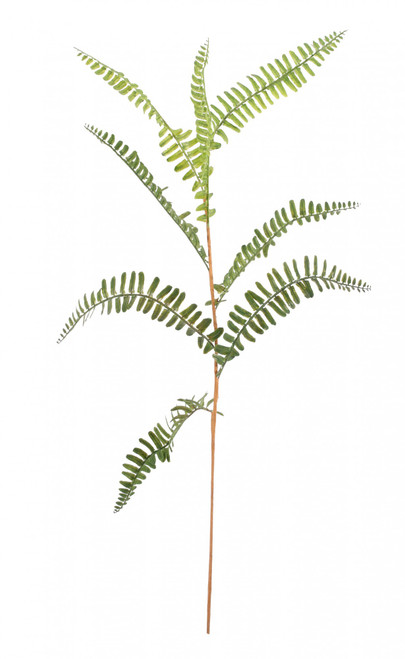 Mini Fern Spray 70cm Mini Fern Spray 70cm