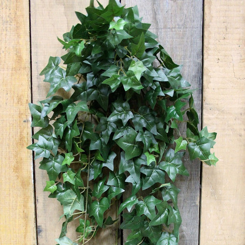 38" Mini Ivy Hanging Bush