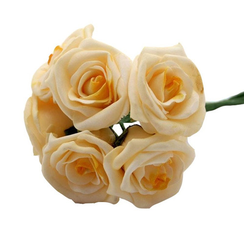 Georgia Foam Rose Daffodil - Discontinued